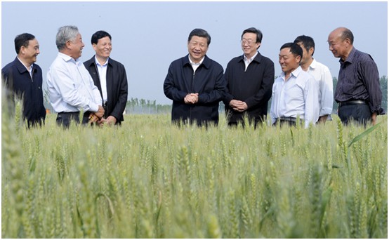 海利集團(tuán),長沙殺蟲劑,長沙光氣衍生物,長沙氨基酸保護(hù)劑,長沙鋰離子電池材料 海利集團(tuán),長沙殺蟲劑,長沙光氣衍生物,長沙氨基酸保護(hù)劑,長沙鋰離子電池材料