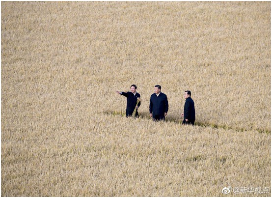 海利集團(tuán),長沙殺蟲劑,長沙光氣衍生物,長沙氨基酸保護(hù)劑,長沙鋰離子電池材料 海利集團(tuán),長沙殺蟲劑,長沙光氣衍生物,長沙氨基酸保護(hù)劑,長沙鋰離子電池材料
